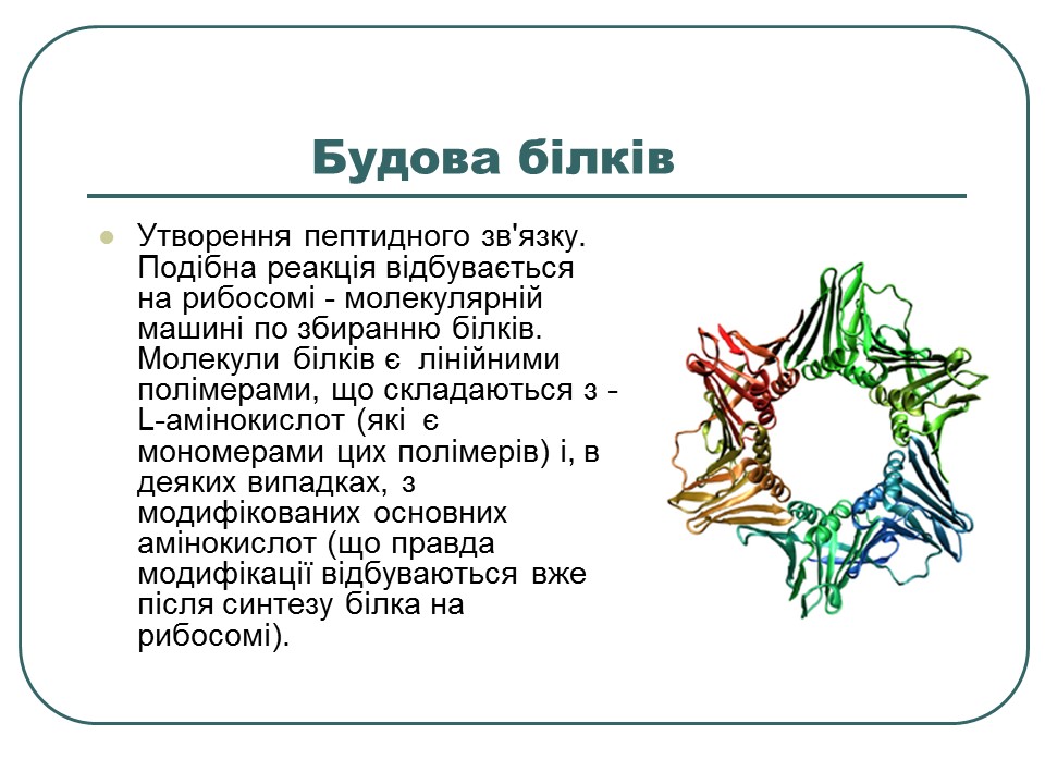 Що таке білки