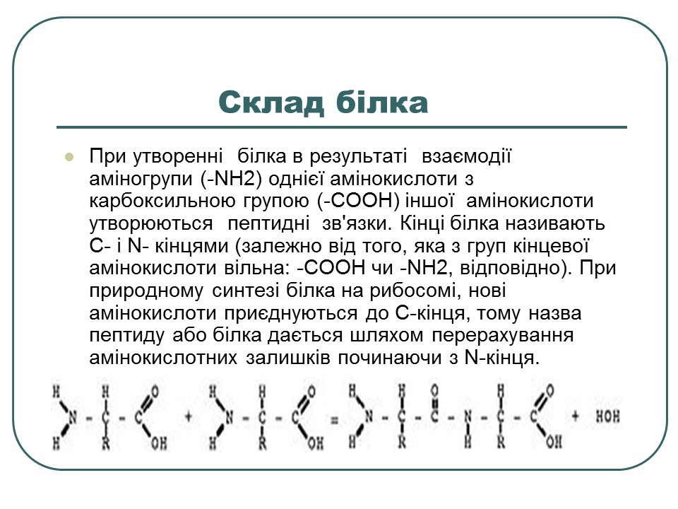 Що таке білки