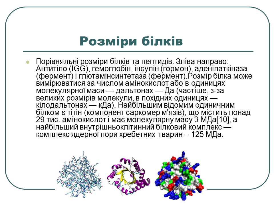 Що таке білки