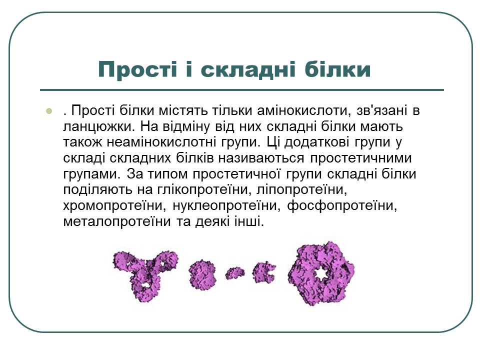 Що таке білки