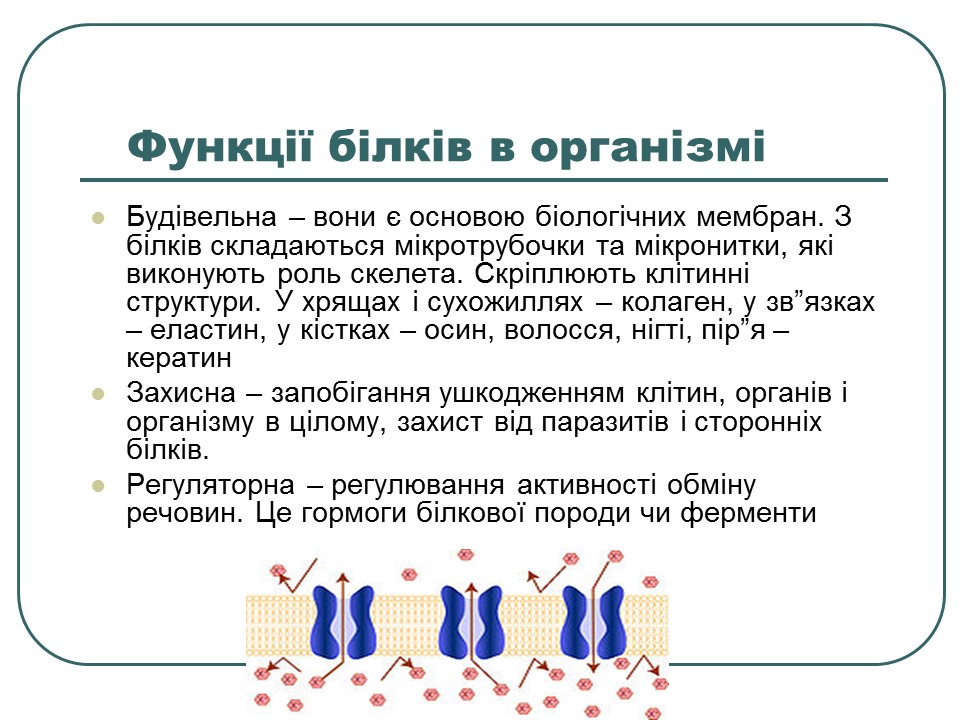 Що таке білки