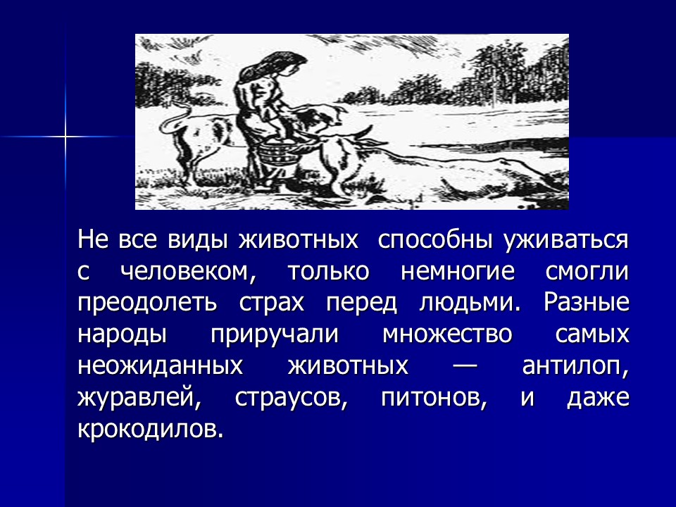 Одомашнивание животных