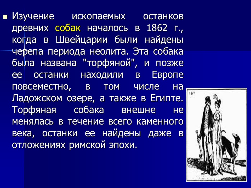 Одомашнивание животных