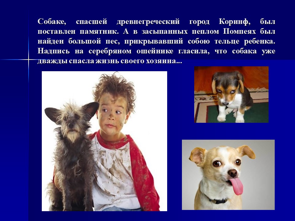 Одомашнивание животных