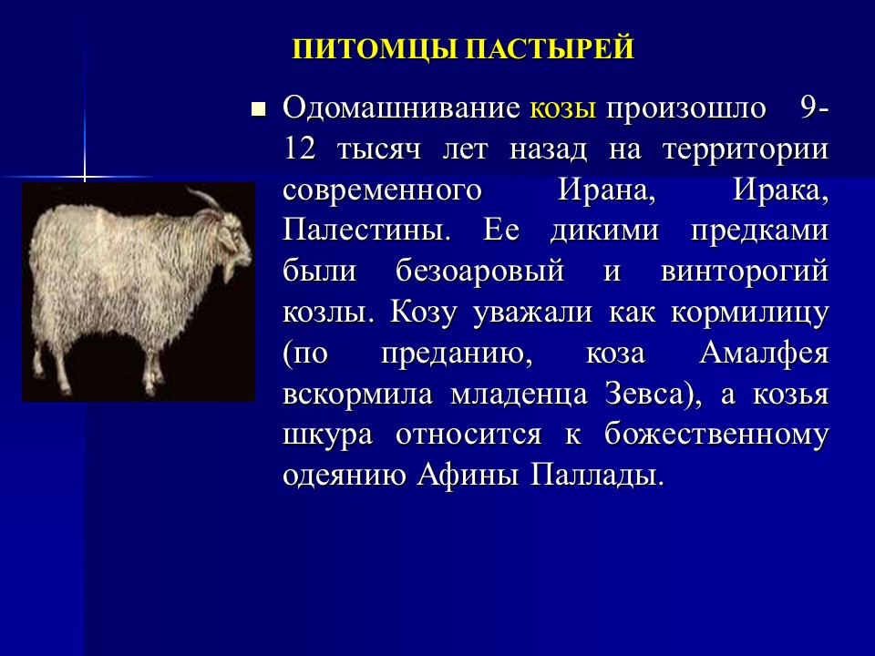 Одомашнивание животных