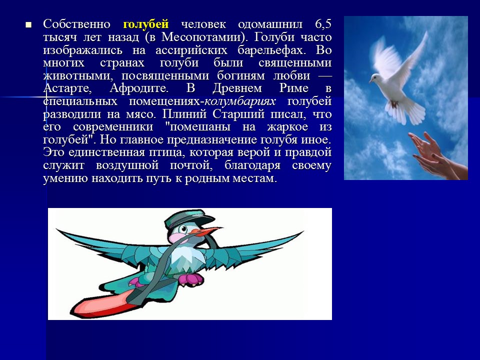 Одомашнивание животных