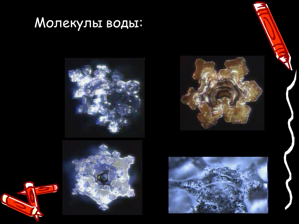 Методы исследования клетки