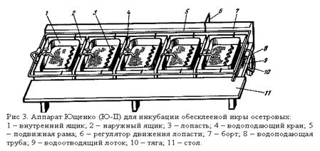 Схема инкубационного цеха рыб