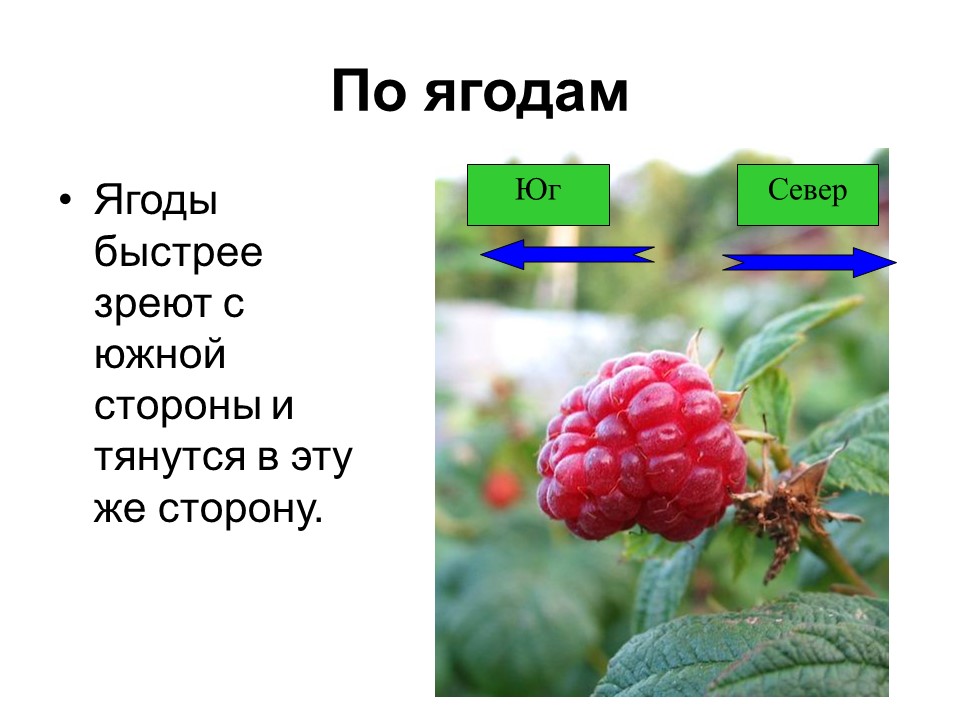 Ориентирование на местности 2 Способы определения