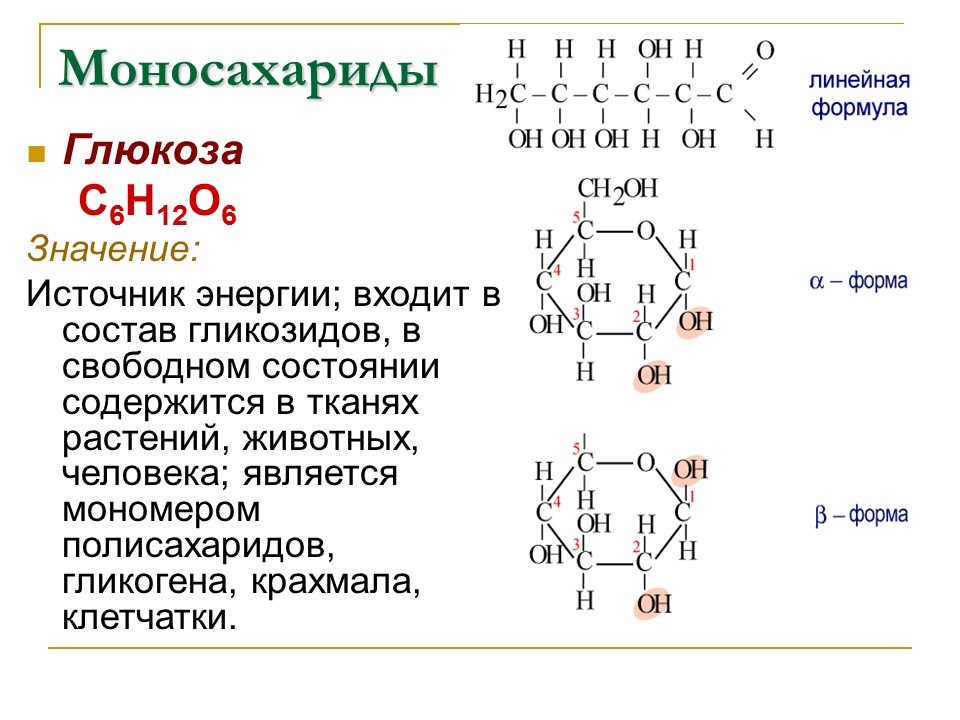 Углеводы Строение и функции