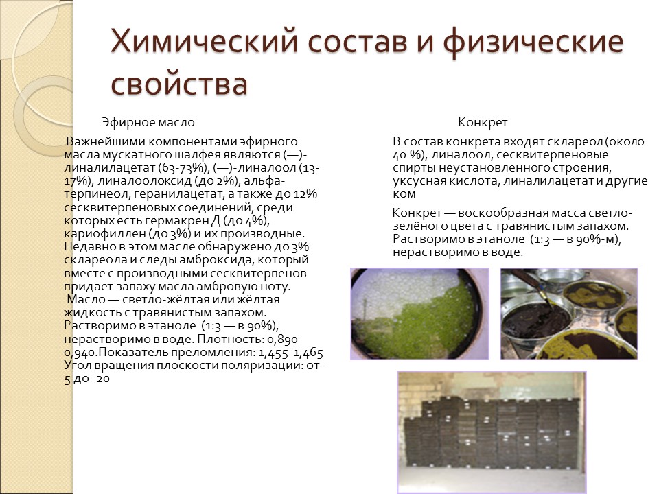 Влияние эфирного масла и конкрета из шалфея мускатного на организм человека