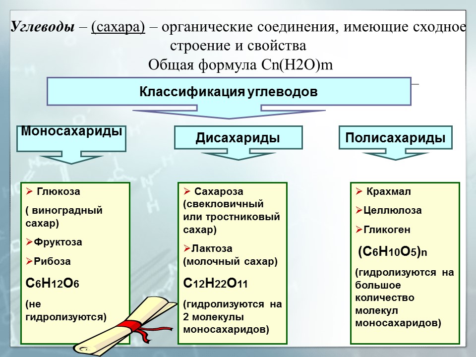 Углеводы Глюкоза - представитель моносахаридов