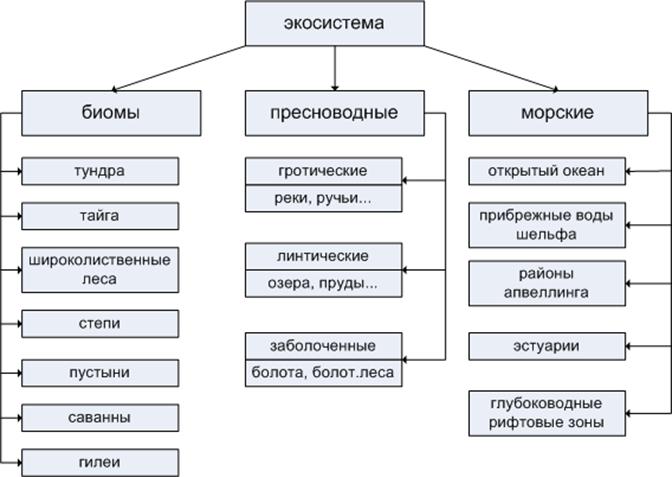 Природные экосистемы кратко