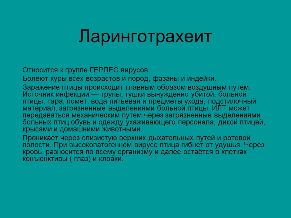 Вирусные заболевания птиц отряда куриных