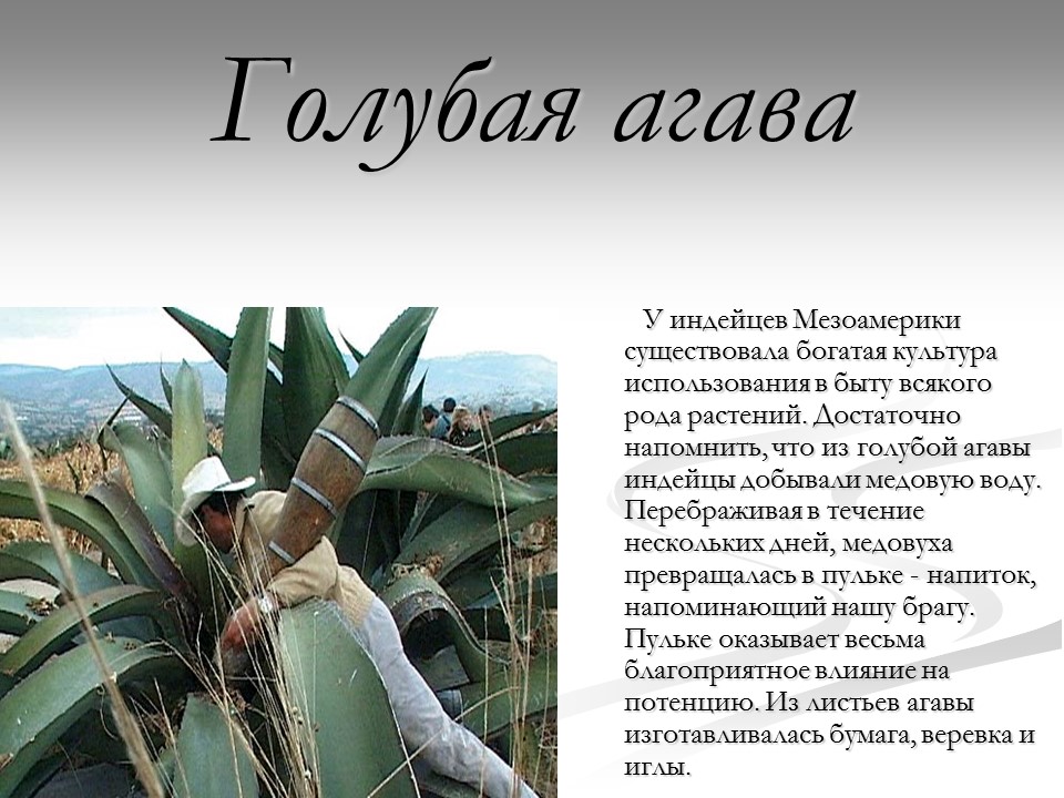 Мексика презентация по географии