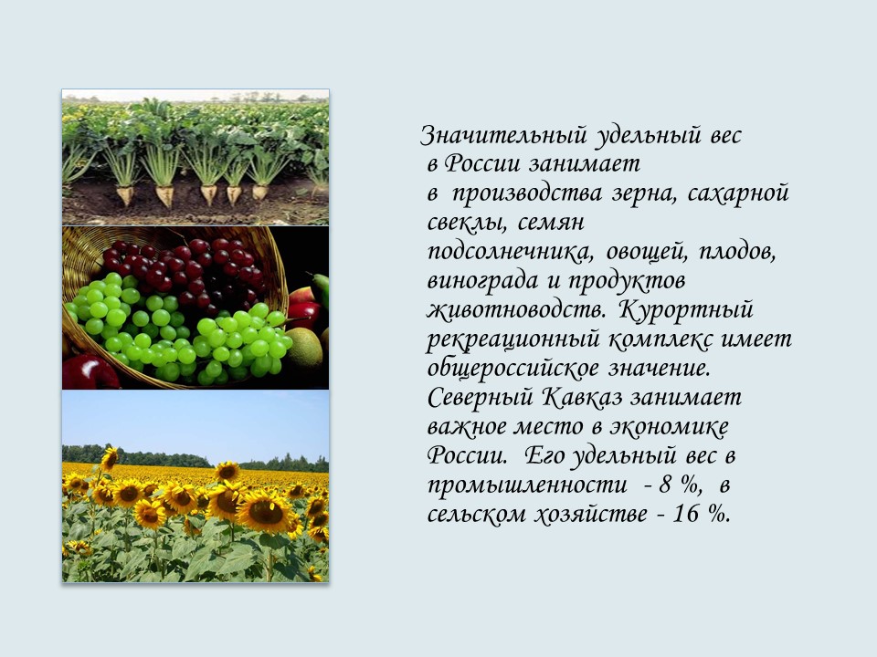 Северо-Кавказский экономический район