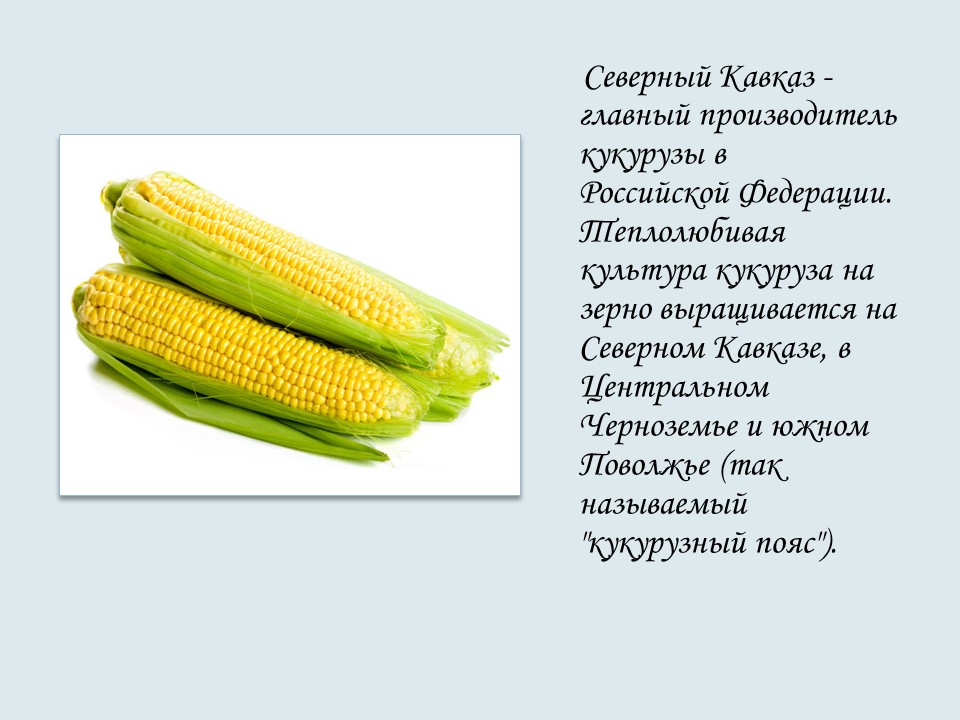 Северо-Кавказский экономический район