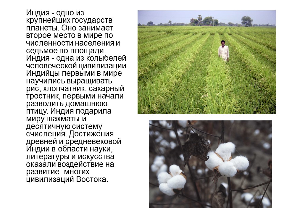 География Индии Географическое и