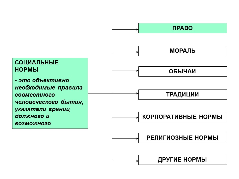 Социальные нормы помогают сохранить порядок