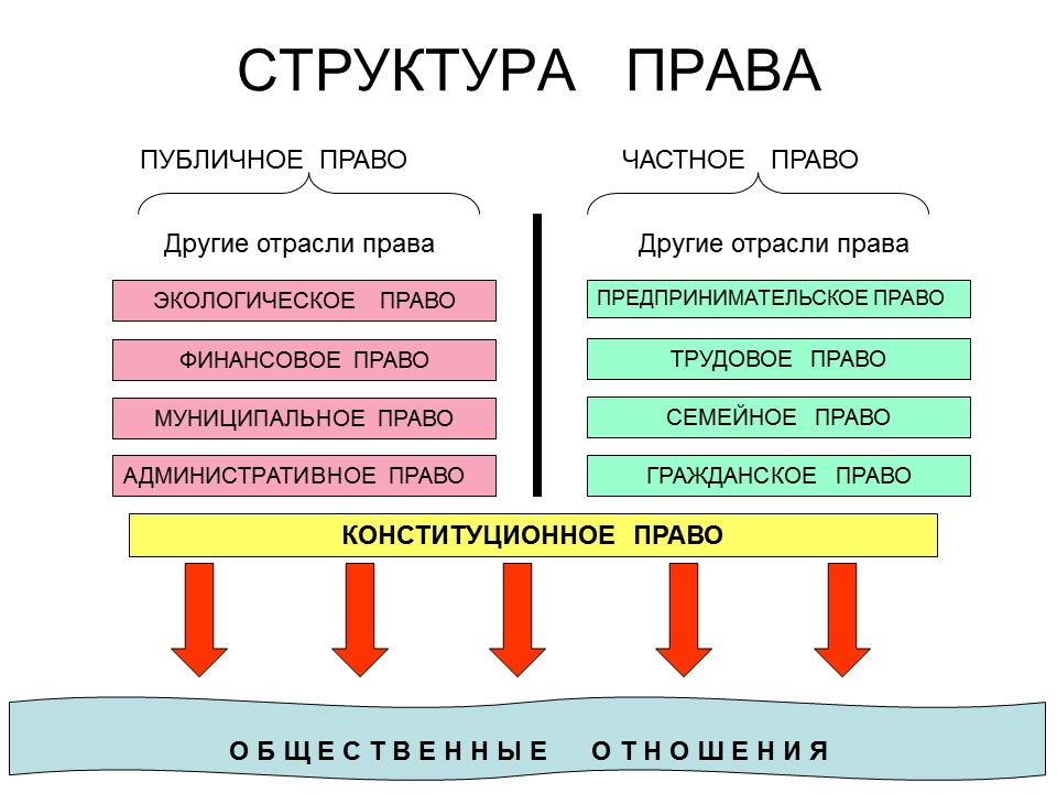 Компоненты входящие в общество