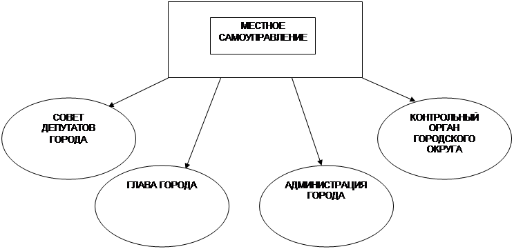 Схема местная власть