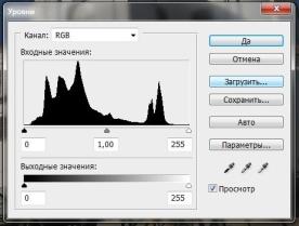 Описание: Гистограмма.jpg