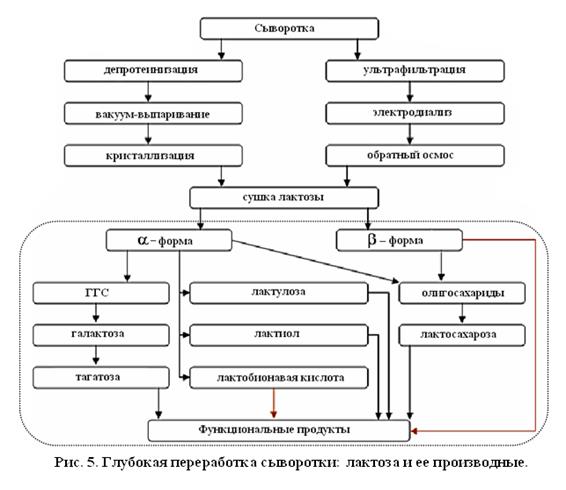 Переработка молочной сыворотки. Переработка молочной сыворотки. Сыворотка молочная. Технологическая схема производства сывороточных напитков. Переработка молочной сыворотки.