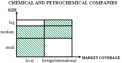 Entrepreneurial project Individual Project