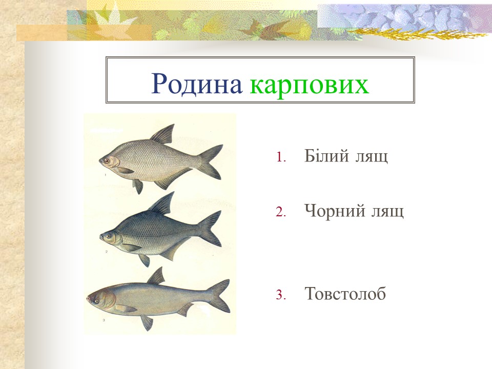 Родини промислових риб