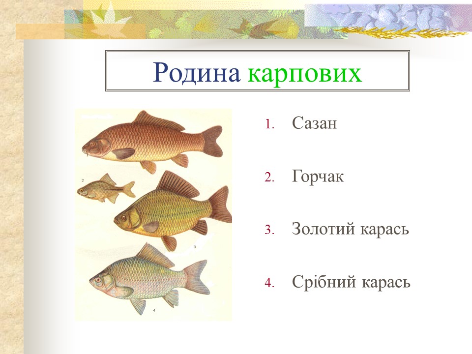 Родини промислових риб