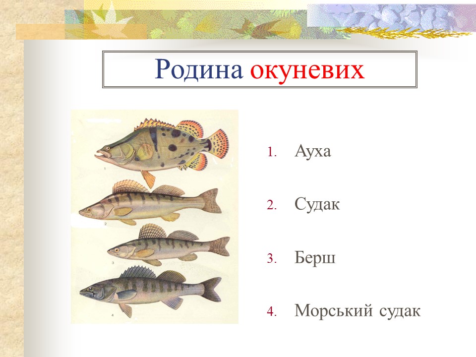 Родини промислових риб