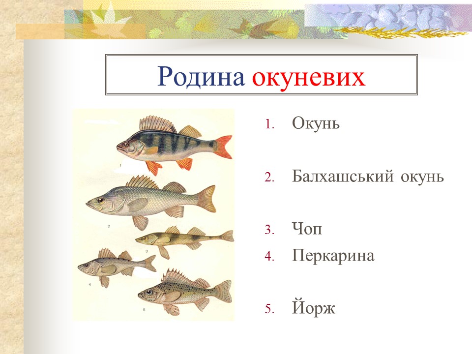 Родини промислових риб