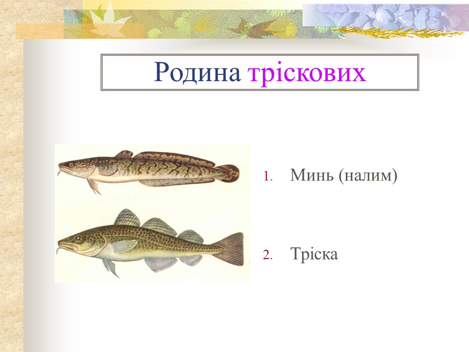 Родини промислових риб