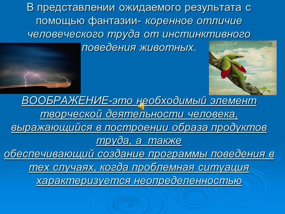 Понятие о воображении его основных видах и процессах
