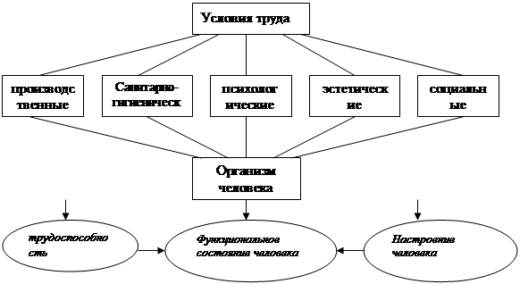 схема элементы условий труда. классификация условий трудовой деятельности. схема условия труда. схема условия труда. классификация условий труда по степени тяжести трудового процесса.